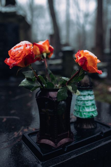 A close-up of three vibrant orange roses with hints of red and pink, partially dusted with frost, arranged in a small dark-colored vase. The roses have lush green leaves and visible stems, exhibiting